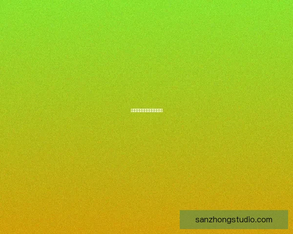 超级游戏女王：无尽下载之路